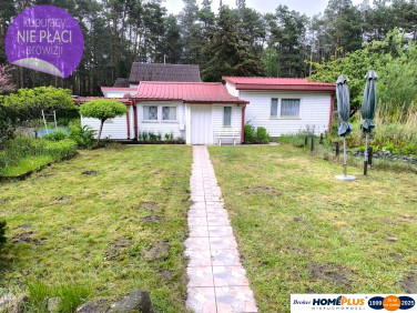 Dom Łosie sprzedaż