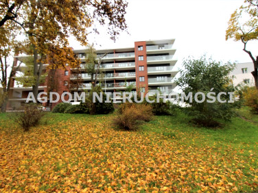 Mieszkanie Włocławek