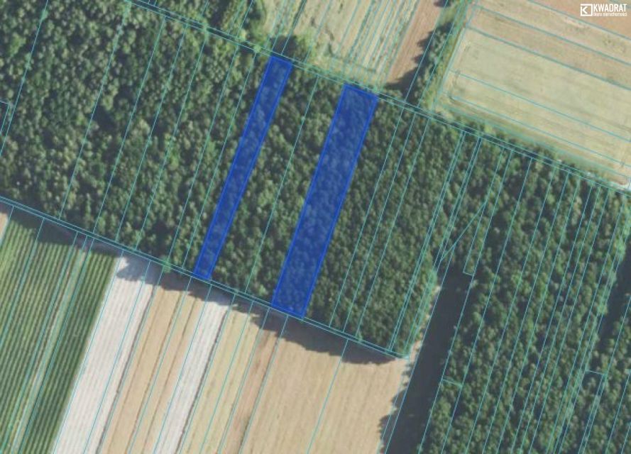 Działka leśna Majdan Skrzyniecki