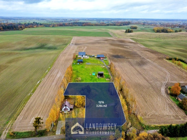 Działka siedliskowa Radziejewo