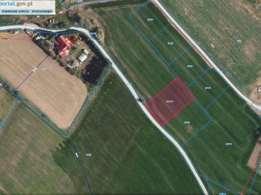Działka budowlana Dzikowiec