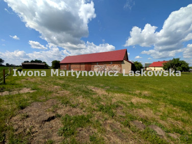 Budynek użytkowy Żabice sprzedaż