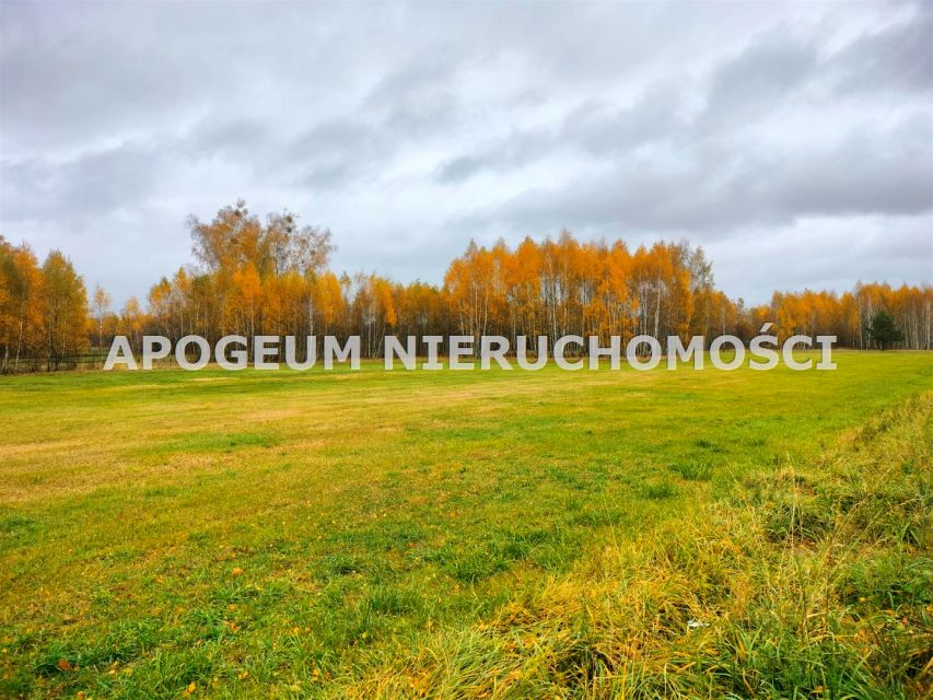 Działka budowlana Baciuty-Kolonia