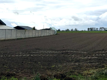 Działka budowlana Wolkowo