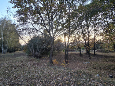 Działka budowlana Jasienica