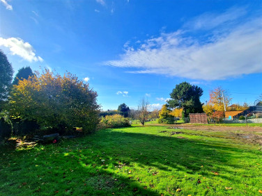 Działka usługowa Radlin