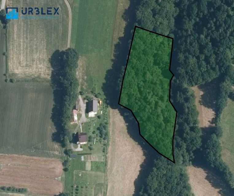 Działka leśna Trzciana