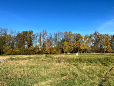 Działka usługowa Pisarzowice