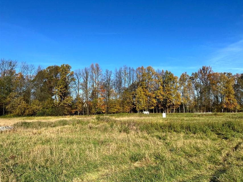 Działka usługowa Pisarzowice