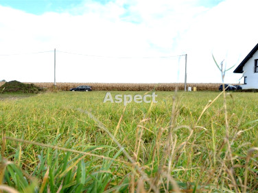 Działka budowlana Tąpkowice