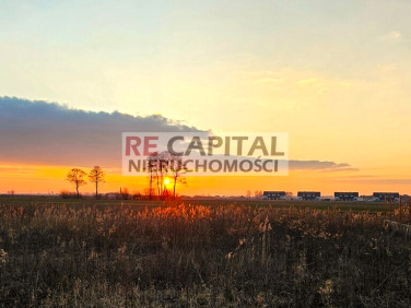 Działka budowlana ZABORÓWEK