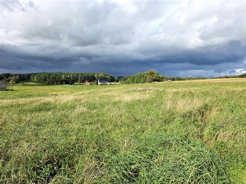 Działka budowlana Leśno