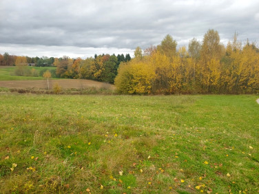 Działka budowlana Tuchów