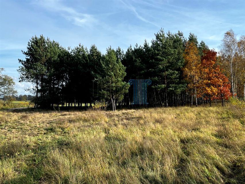 Pusta działka Nowe Dąbie