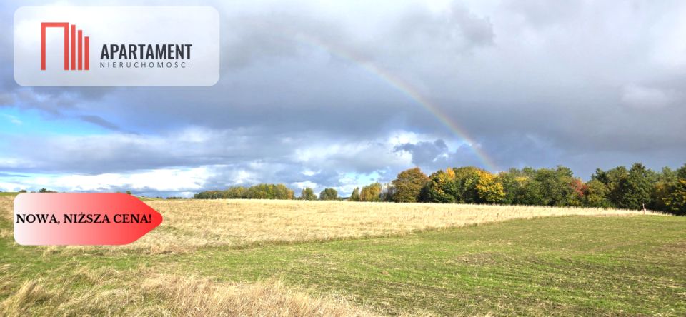 Działka Gołębiewo Wielkie