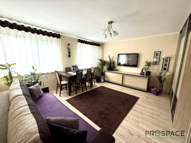 Mieszkanie Zielona Góra sprzedaż