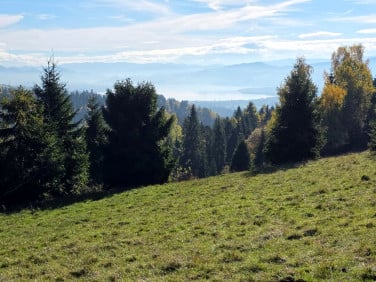 Działka rolno-leśna Knurów sprzedam