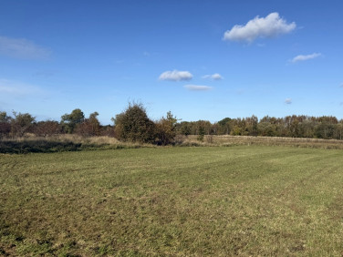 Działka rolna Lędzin