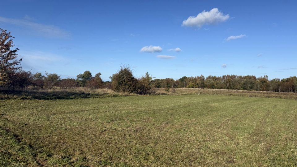 Działka rolna Lędzin