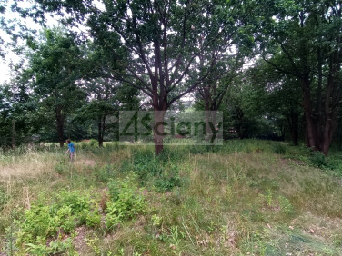 Działka budowlana JÓZEFÓW