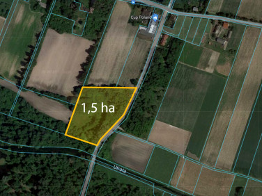 Działka usługowa Błonie