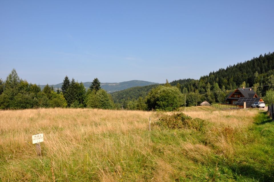 Zdjęcie 3