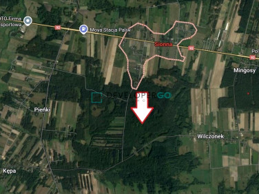 Działka leśna Sionna