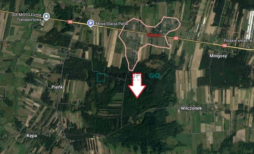 Działka leśna Sionna