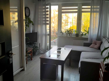 Mieszkanie Stalowa Wola