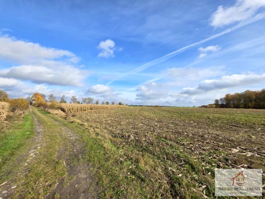 Działka rolna Czarne Małe