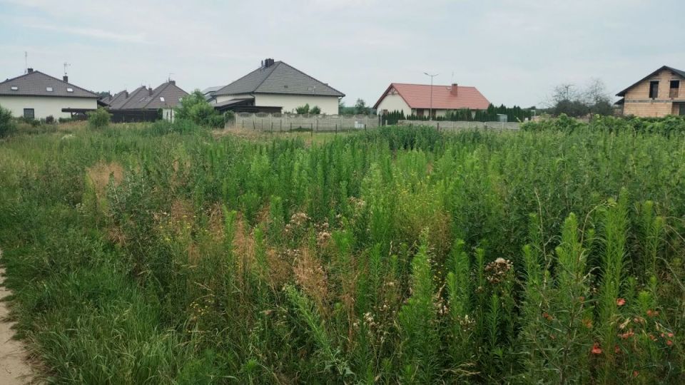 Działka budowlana Leszno