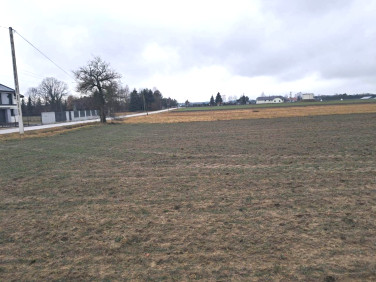 Działka budowlana Wielgolas Duchnowski