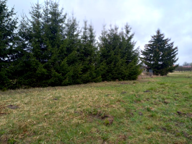 Działka budowlana Malcanów