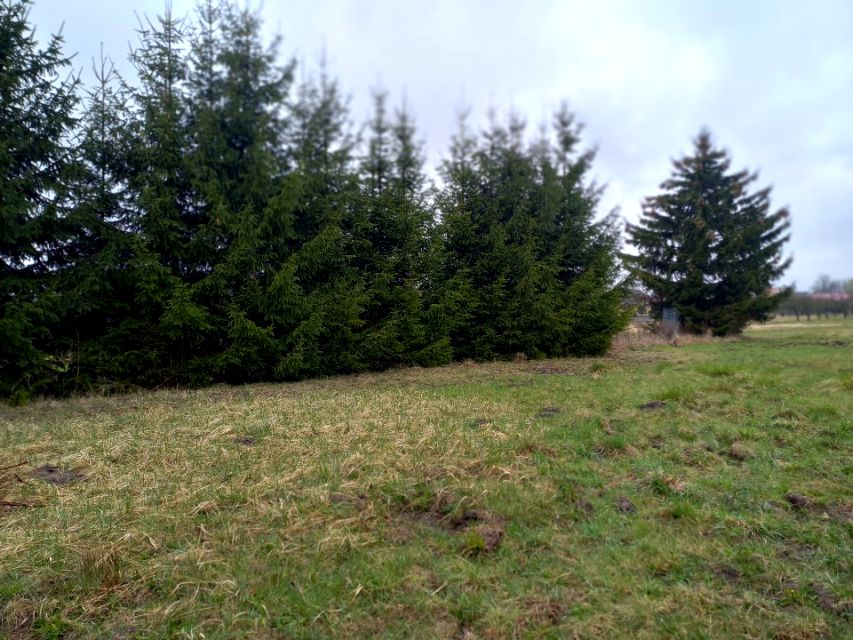 Działka budowlana Malcanów