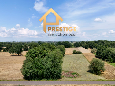 Działka rolna Dąbrowica