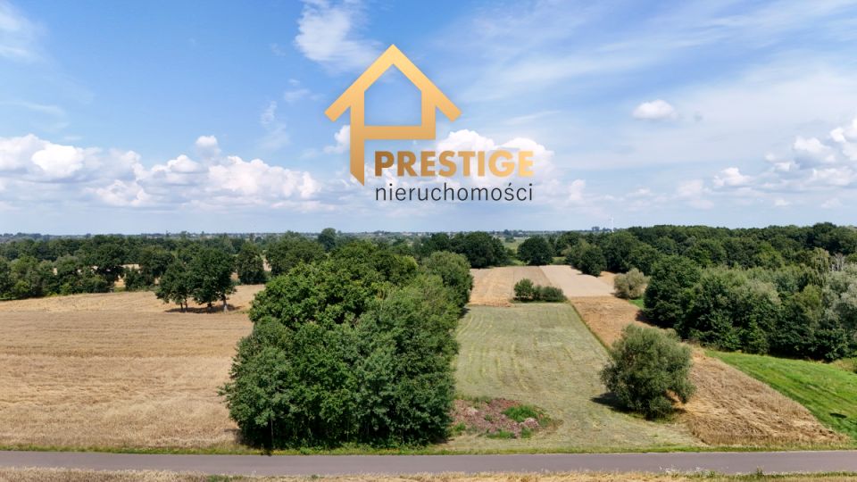 Działka rolna Dąbrowica