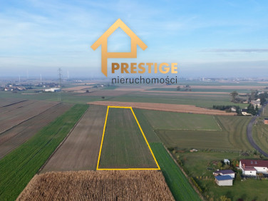 Działka rolna Ślesin