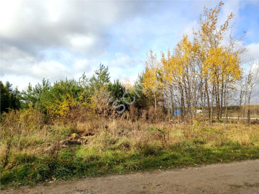 Działka budowlana Izbica