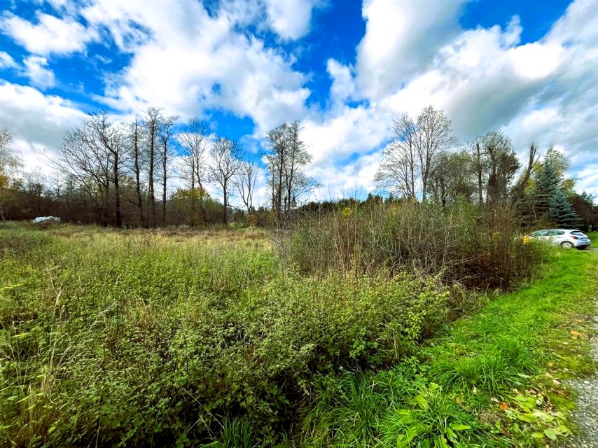 Działka budowlana Leśna