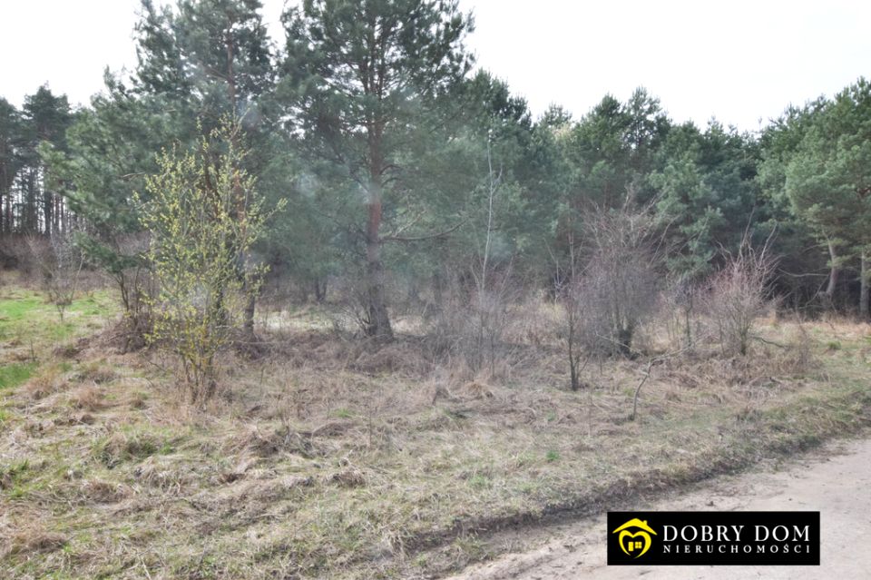 Działka rolna Żółtki