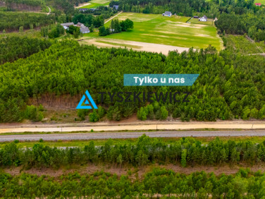 Działka leśna Czyczkowy