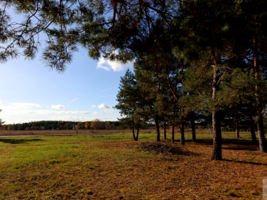 Działka Zmysłówka