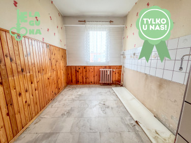 Mieszkanie Kutno sprzedaż