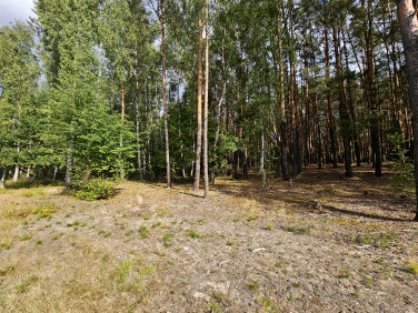 Zalesiona działka Wiązowna