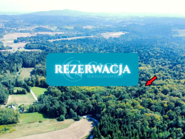 Działka Jodłowa
