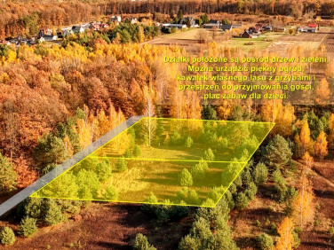 Działka budowlana Kolonia Góra Puławska