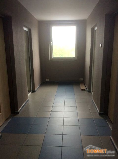 Lokal Katowice wynajem