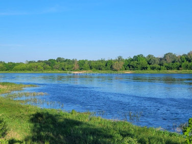 Działka rolna Dębe