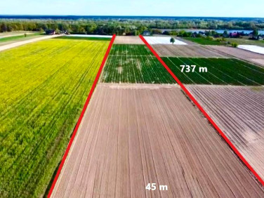 Działka inwestycyjna Wólka Smoszewska sprzedam