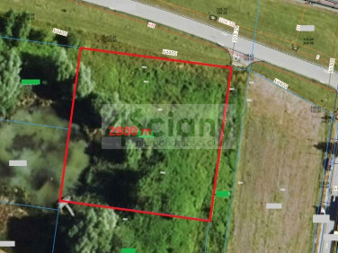 Działka budowlana Michałowice